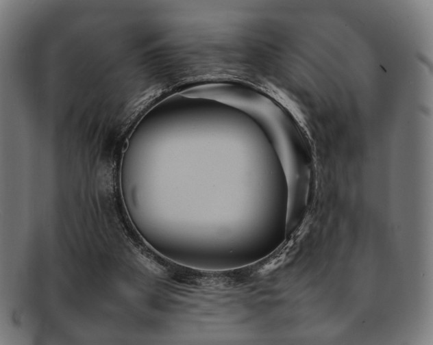 X0000092100105200709121551