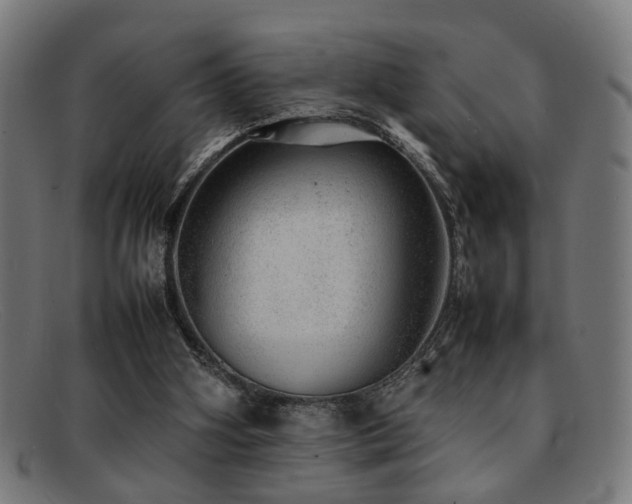 X0000092100106200709121551