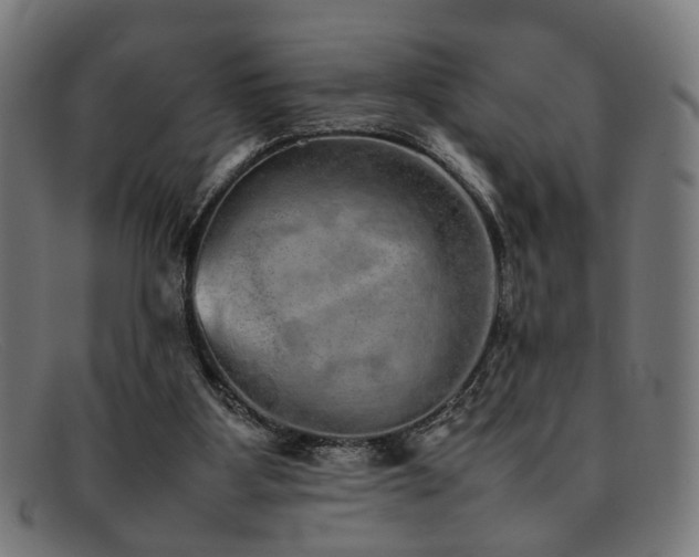 X0000092100107200709121551