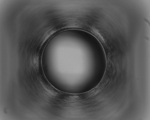 X0000092100108200709121551