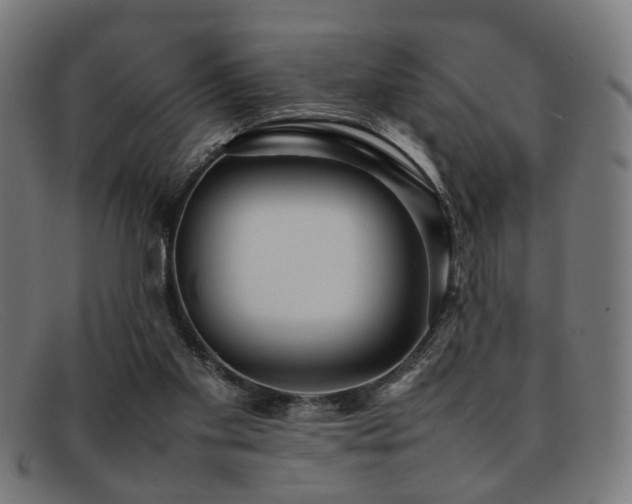 X0000092100109200709121551