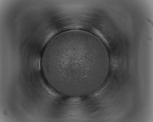 X0000092100110200709121551