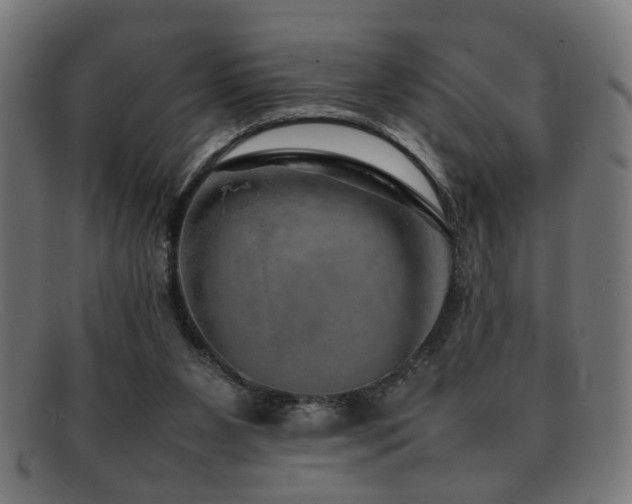 X0000092100111200709121551