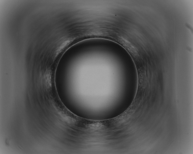 X0000092100112200709121551