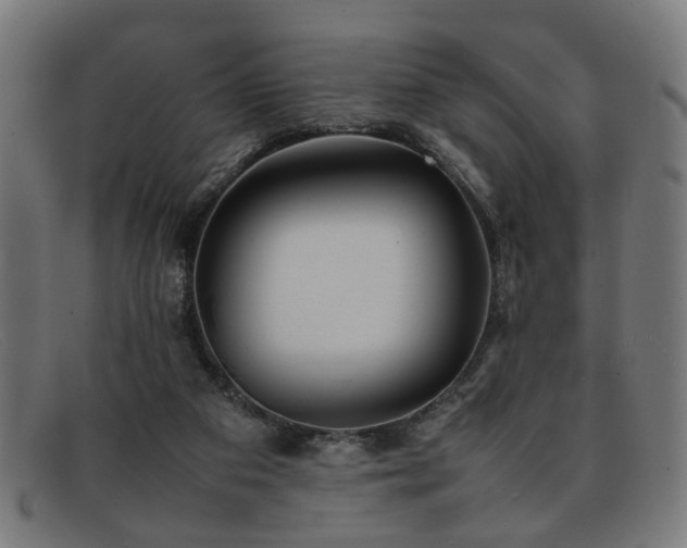 X0000092100113200709121551