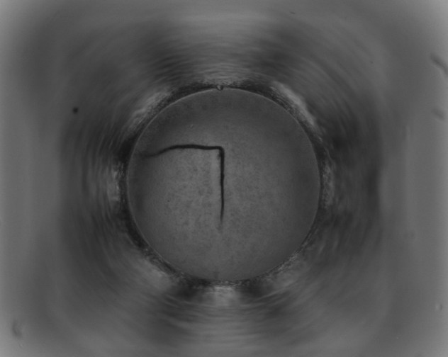 X0000092100114200709121551