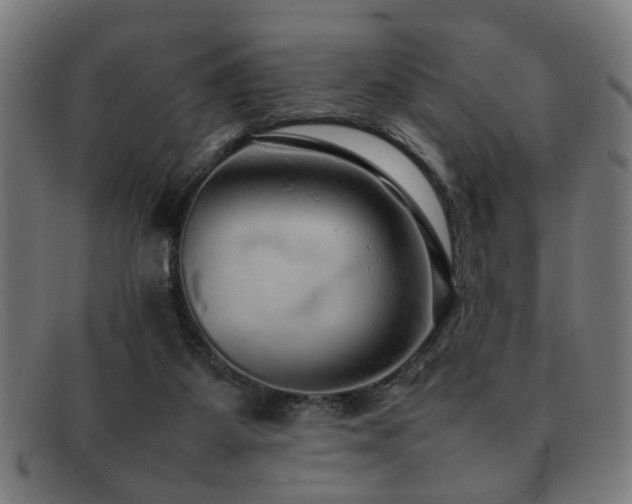 X0000092100115200709121551