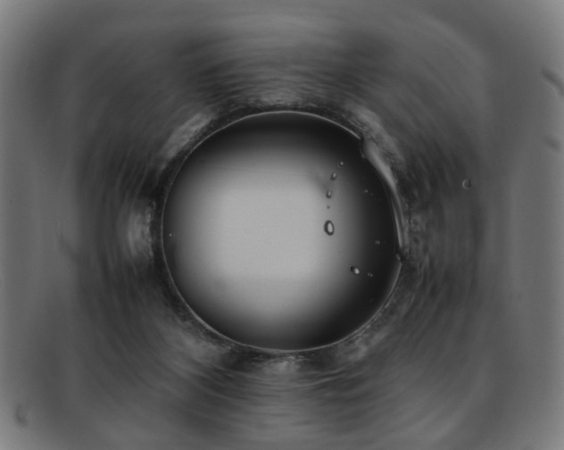 X0000092100116200709121551