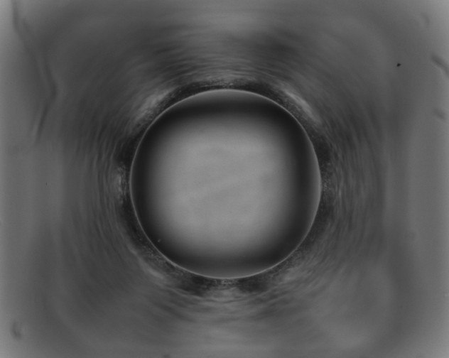 X0000092100119200709121551