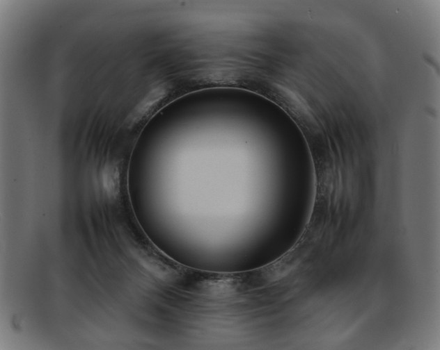 X0000092100120200709121551