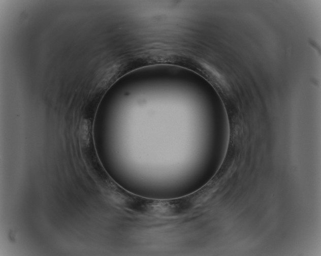 X0000092100121200709121551