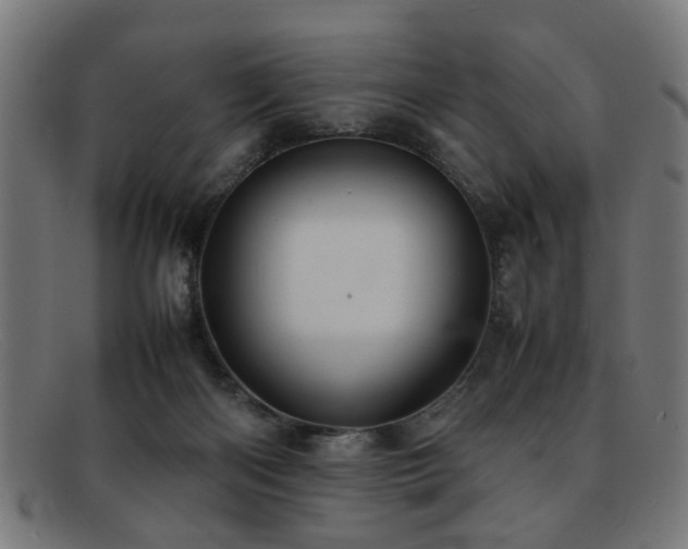 X0000092100122200709121551