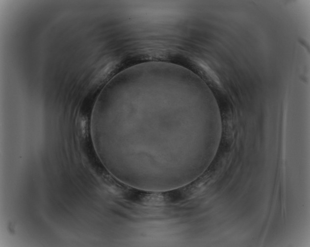 X0000092100123200709121551