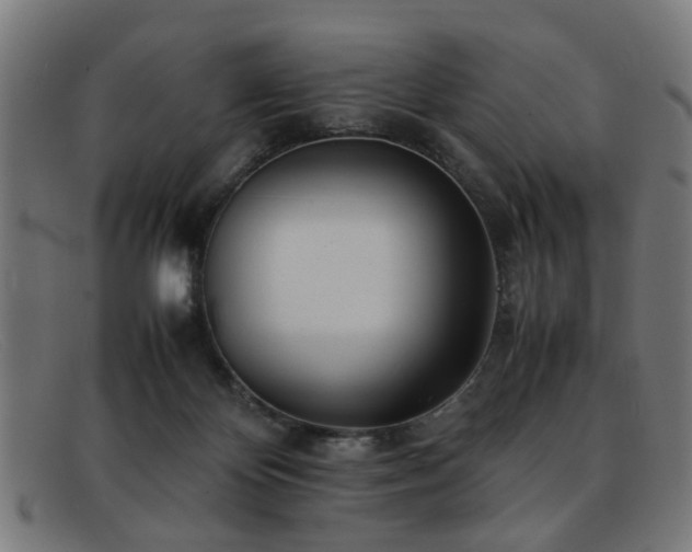 X0000092100124200709121551