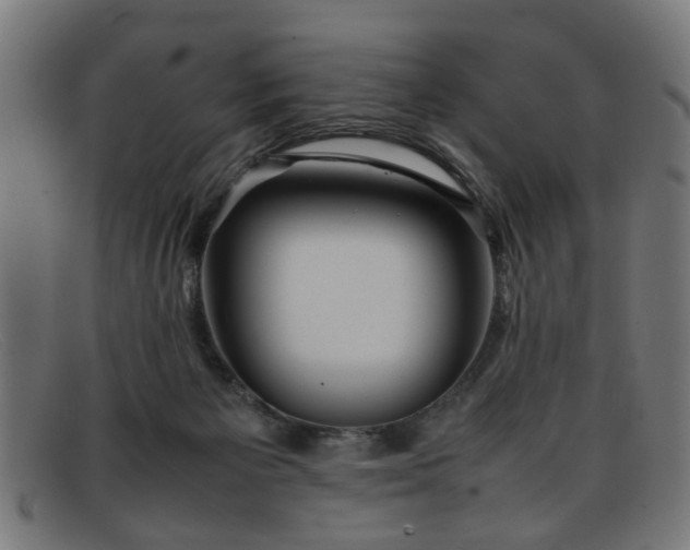 X0000092100125200709121551