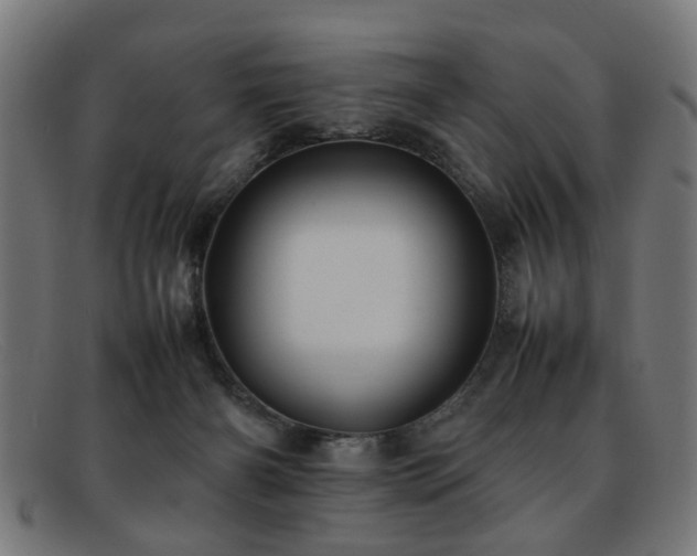 X0000092100126200709121551