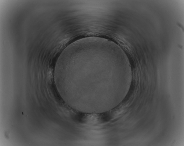 X0000092100127200709121551