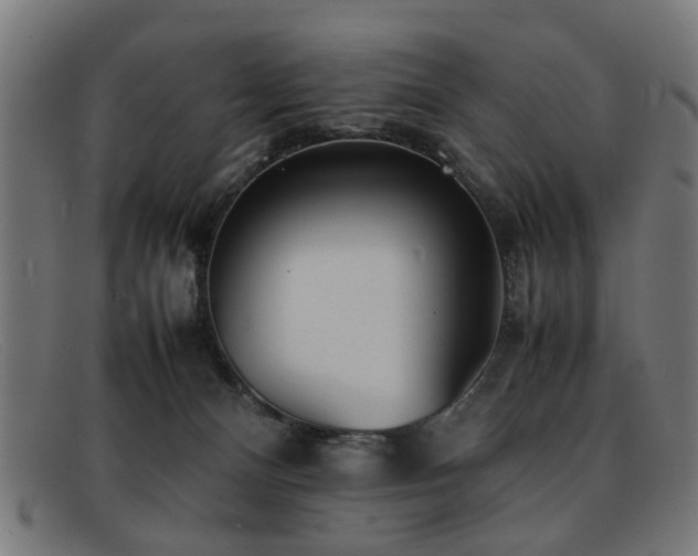 X0000092100128200709121551