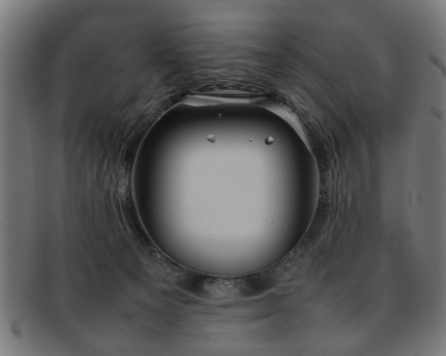 X0000092100129200709121551