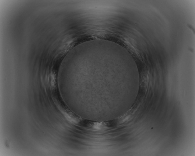 X0000092100130200709121551