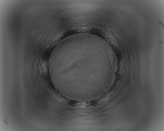 X0000092100131200709121551