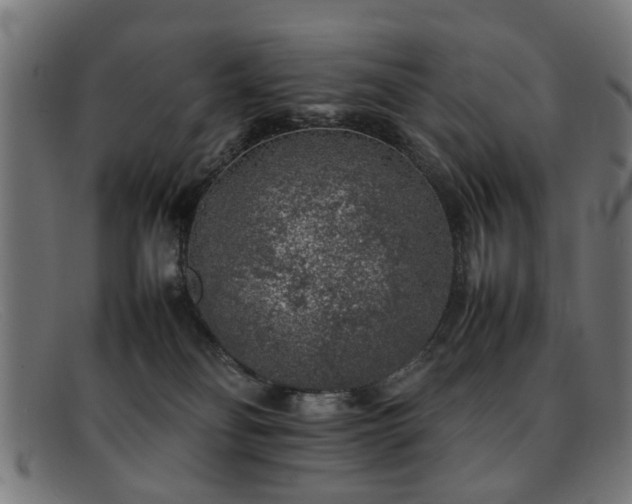 X0000092100134200709121551