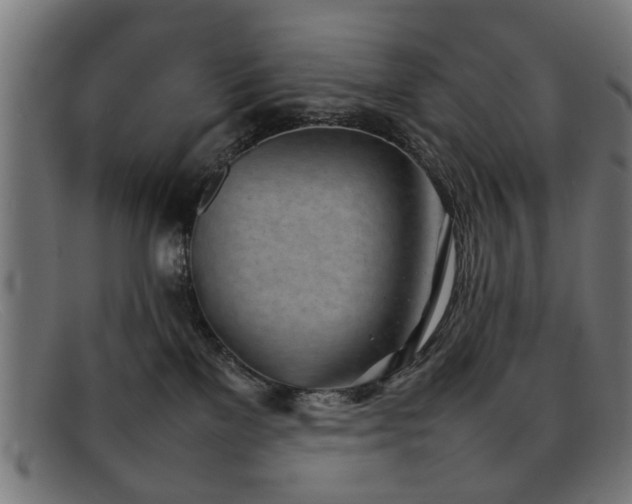 X0000092100137200709121551