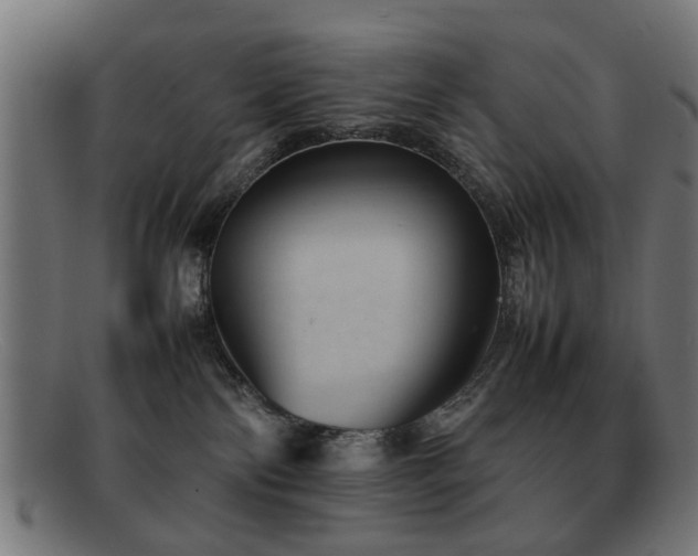 X0000092100138200709121551