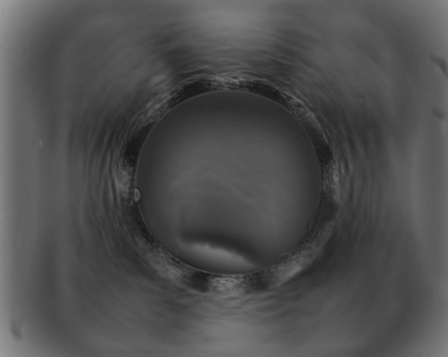 X0000092100139200709121551