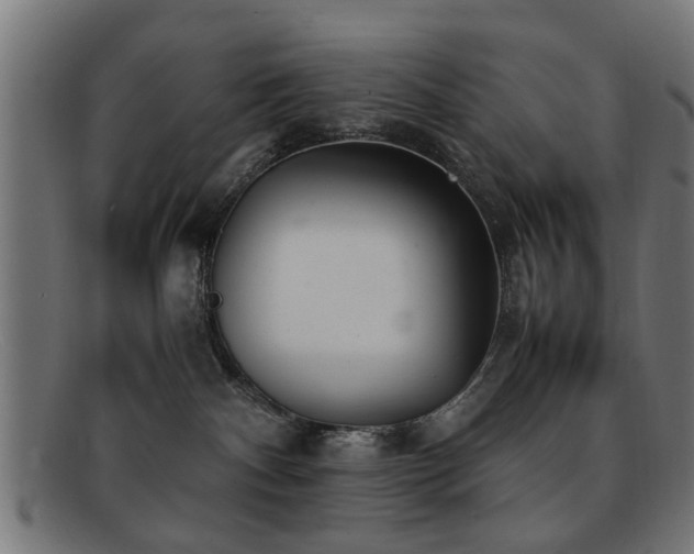 X0000092100140200709121551