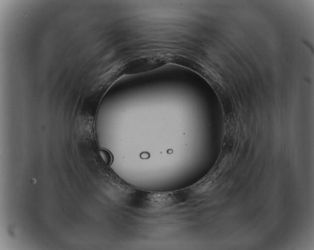 X0000092100141200709121551