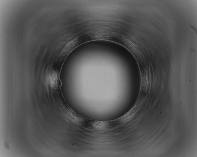 X0000092100142200709121551