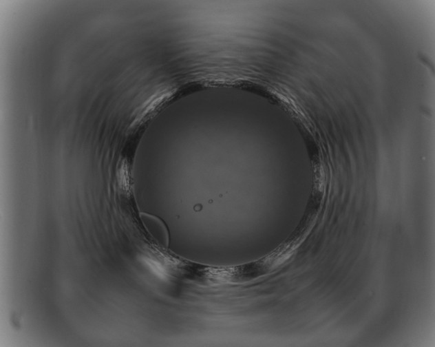 X0000092100143200709121551