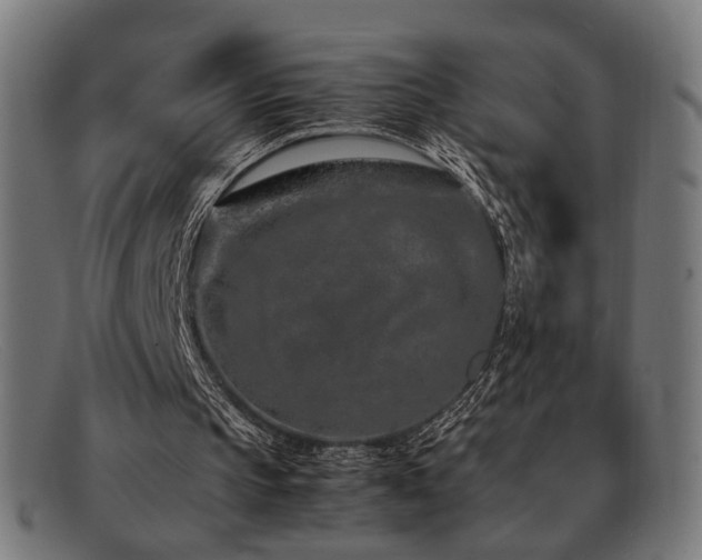 X0000092100145200709121550