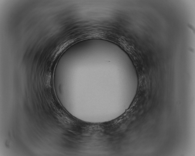 X0000092100146200709121550