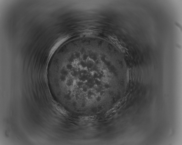 X0000092100147200709121550