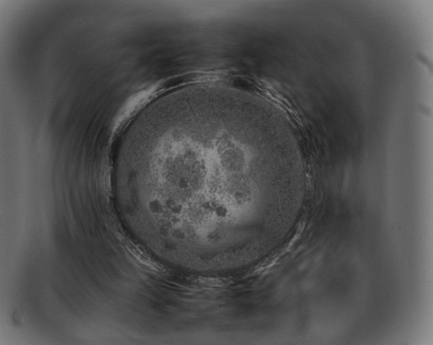 X0000092100149200709121550