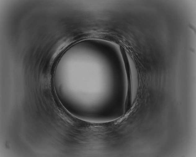 X0000092100150200709121550