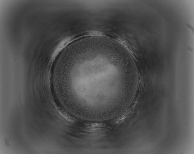 X0000092100151200709121550