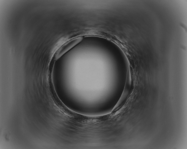 X0000092100152200709121550