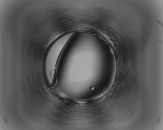 X0000092100154200709121550