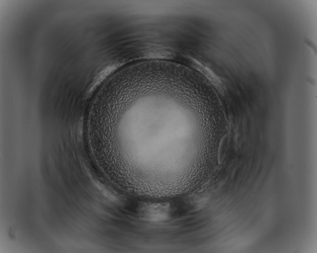 X0000092100155200709121550