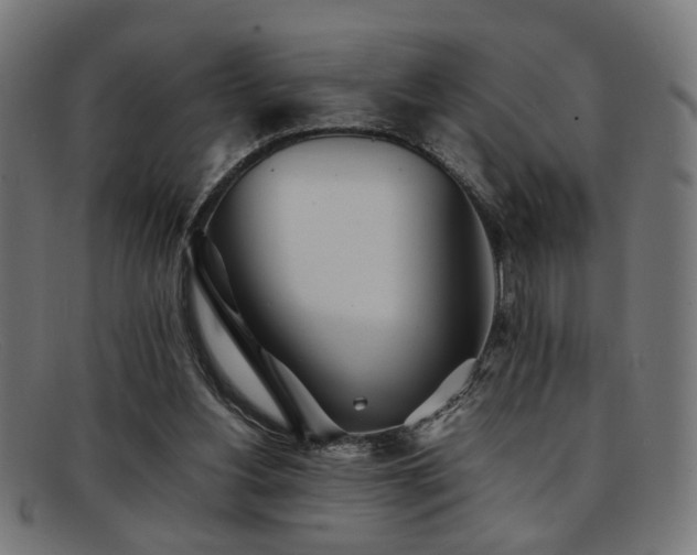 X0000092100156200709121551