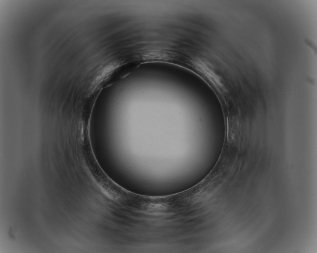 X0000092100157200709121551