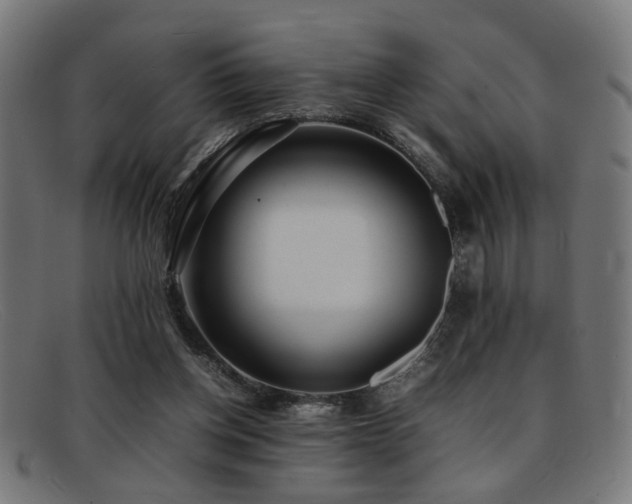 X0000092100158200709121551