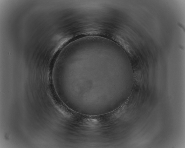 X0000092100159200709121551