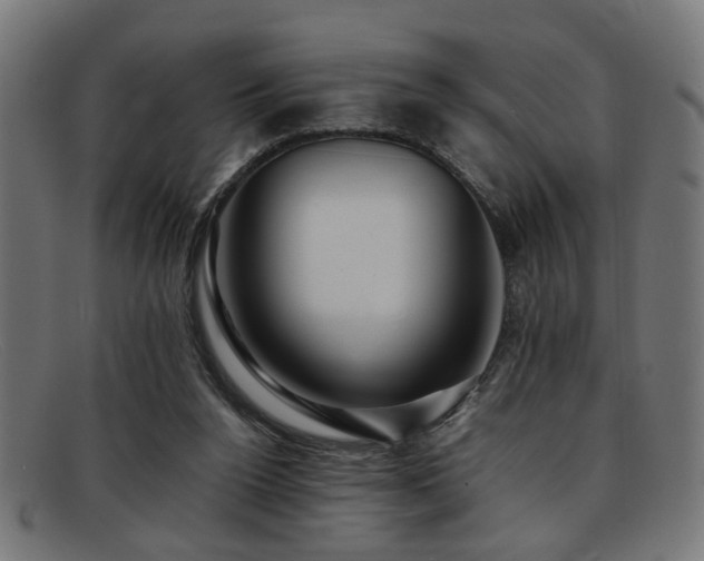 X0000092100160200709121551