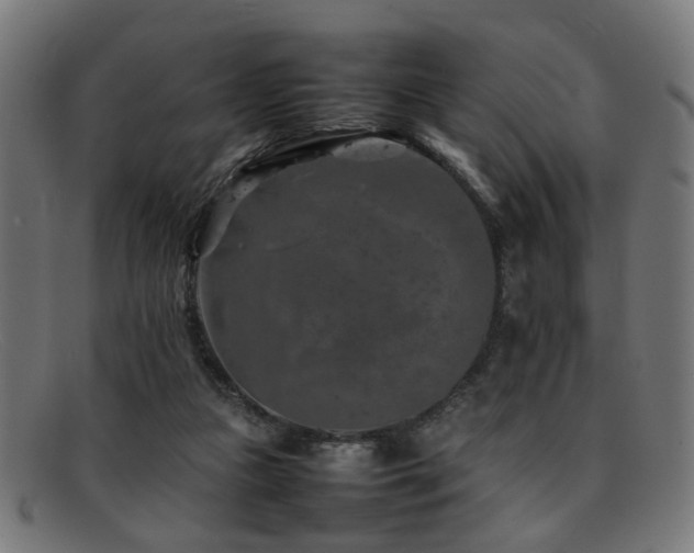 X0000092100161200709121551