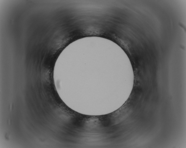 X0000092100162200709121551