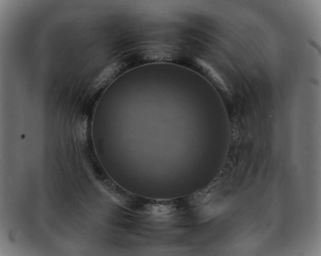 X0000092100163200709121551